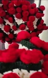 Rose Bouquet Blanket 1