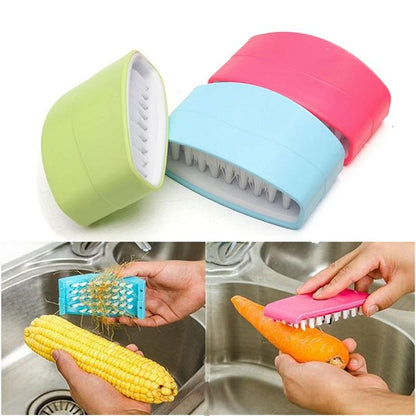 Alligator Scrub 1