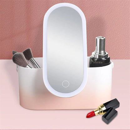 Travel Portable Makeup Organizer Box with LED Light Mirror 1