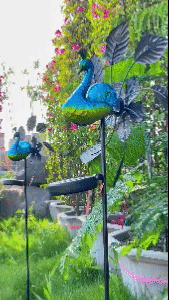 Peacock Lights Outdoor 1