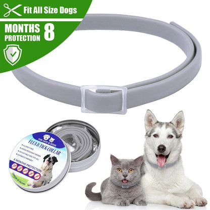 8 Month Flea And Tick Collar 1