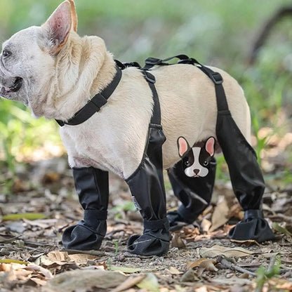 Suspender Dogs Boots 1