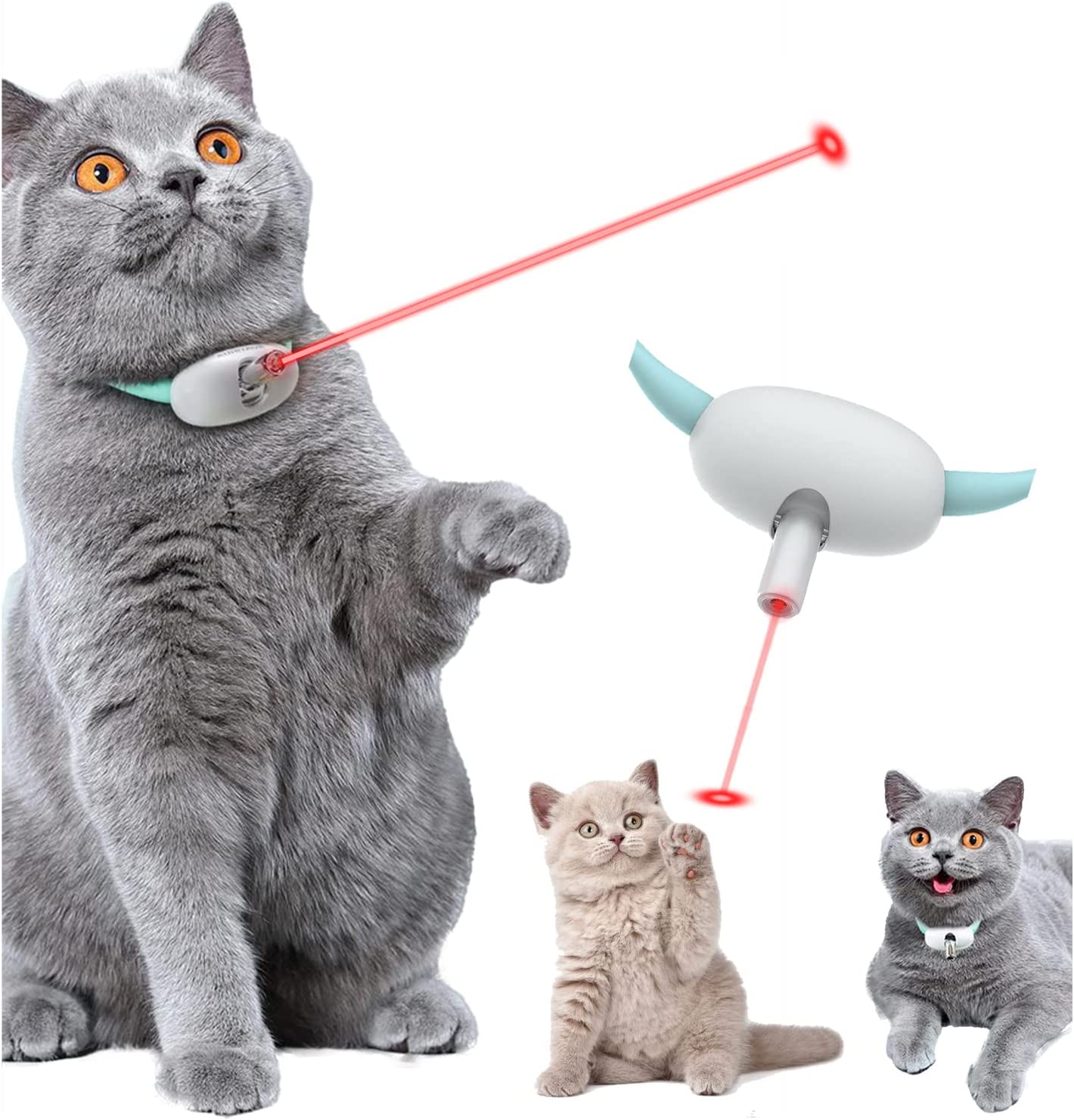Amusing Collar for Kitten 1