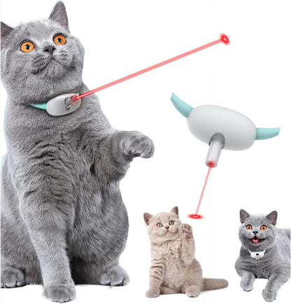 Amusing Collar for Kitten 1