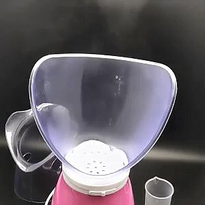 Face Steamer 1