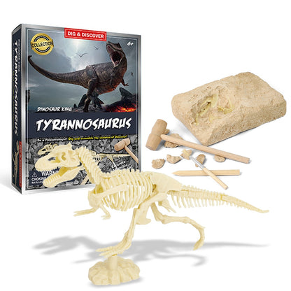 Dinosaur Fossil Digging Kit 1
