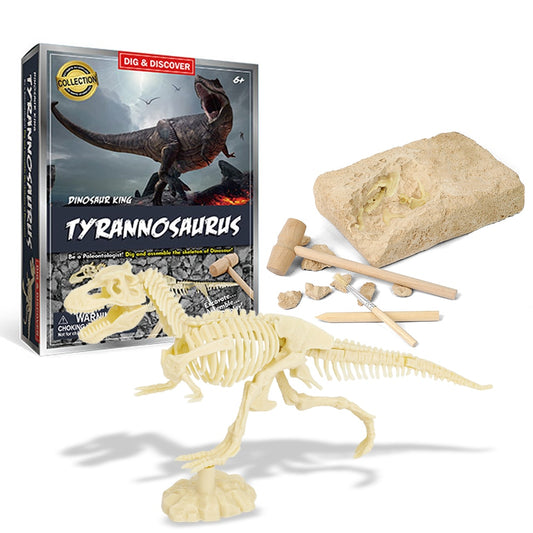 Dinosaur Fossil Digging Kit 1