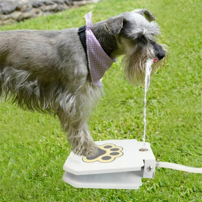 Dog Water Fountain 1