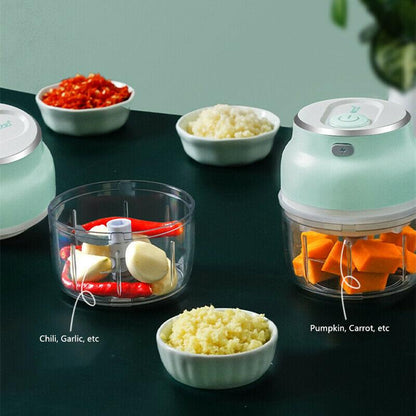 Electric Mini Vegetable Chopper 1