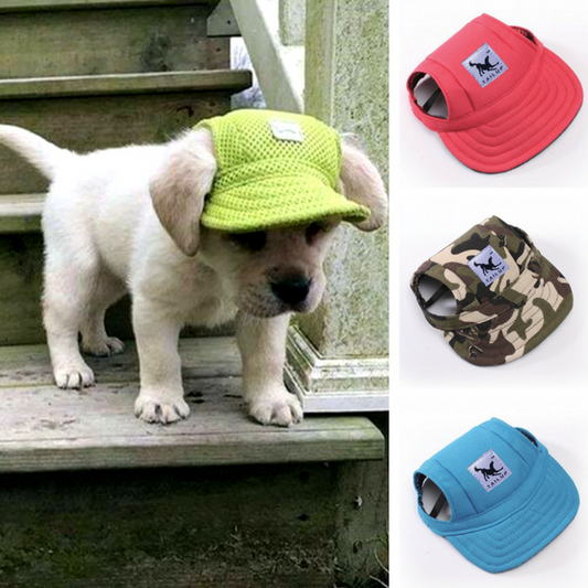 Puppy Hats 1