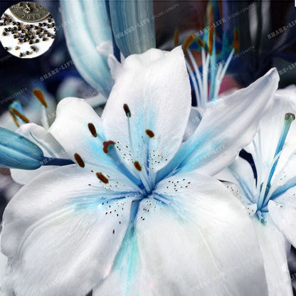 Inspire Uplift Blue Heart 1