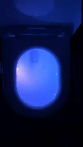 Motion Sensor Toilet Seat 1