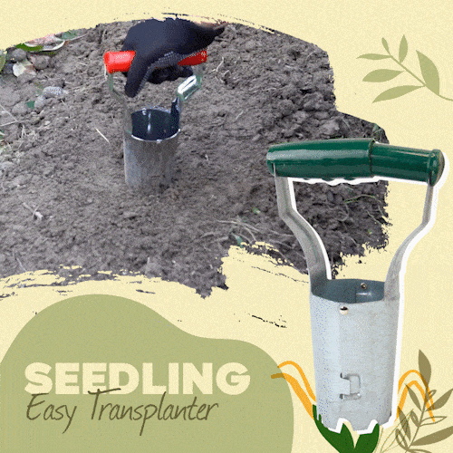 Seedling Easy Transplanter 1