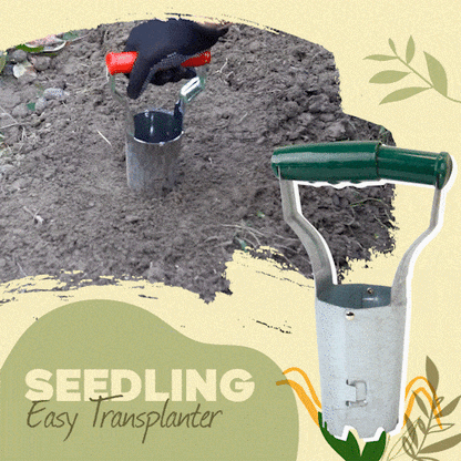 Seedling Easy Transplanter 1
