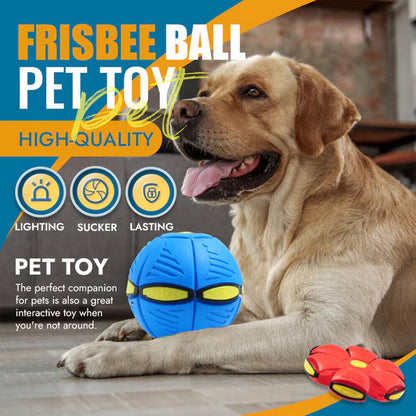 Pet Toy Flying Saucer Ball 1