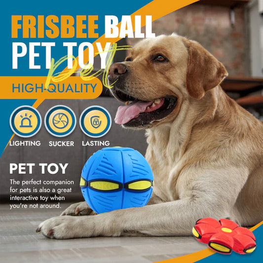 Pet Toy Flying Saucer Ball 1