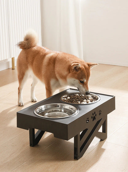 Adjustable Elevated Dog Feeder 1