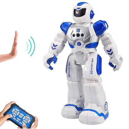 Gesture Sensing Smart Robot 1
