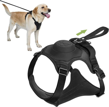 Dog Harness and Retractable Leash Set All-in-One 1