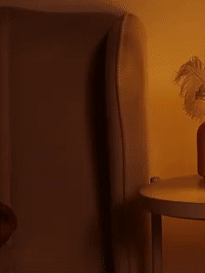 Rose Magnetic Levitation Lamp 1