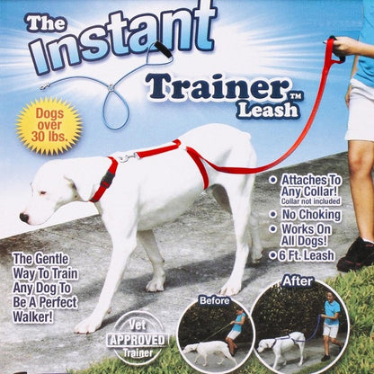 Instant dog trainer leash 1