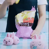 Mini Bag Sealer 1