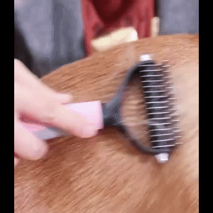 Pet Grooming Brush 1