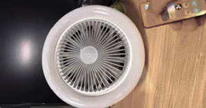 Ceiling Fan with Light 1