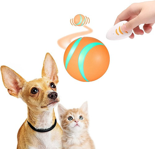 Remote Control Pet Bounce Ball 1
