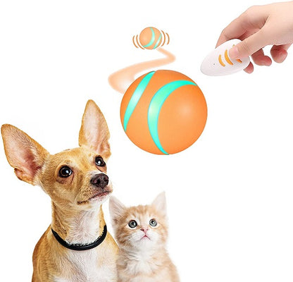 Remote Control Pet Bounce Ball 1