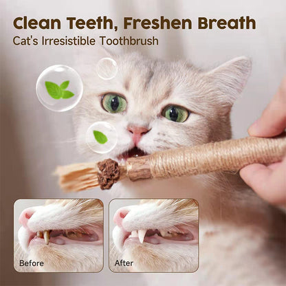 Natural Silvervine Stick Cat Chew Toy-2pcs 1