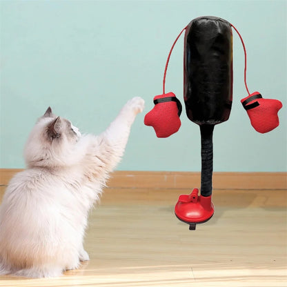 Cat Punching Bag Toy 1