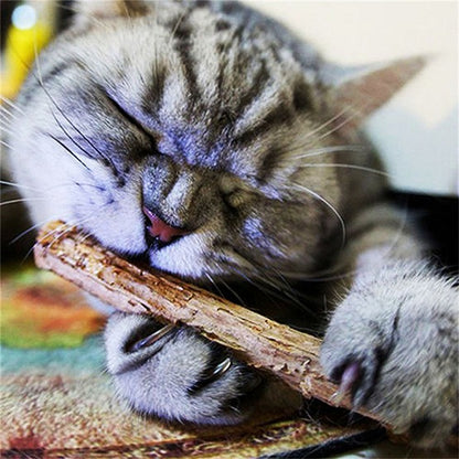 Chompy Sticks 1